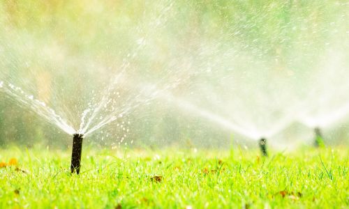 Irrigation Services in Tampa, FL