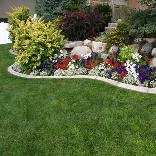Residential Landscaping in Tampa, FL